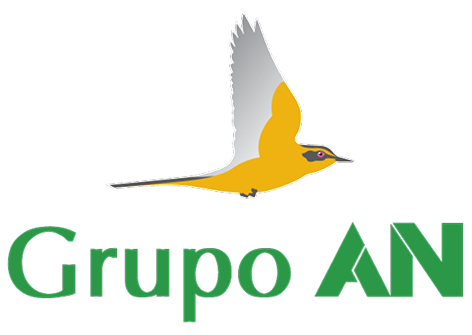 Grupo AN